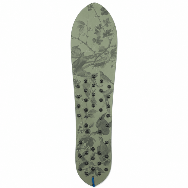 Botanical Surf Snowboard