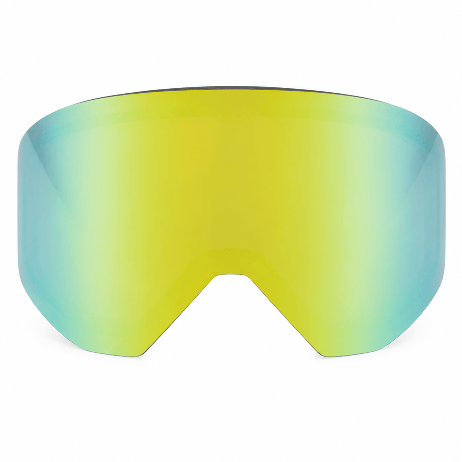 Zebra Mirror Goggles