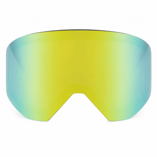 Zebra Mirror Goggles
