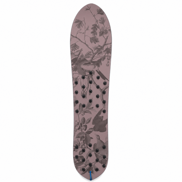 Botanical Surf Snowboard