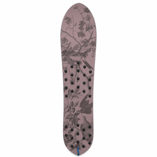 Botanical Surf Snowboard
