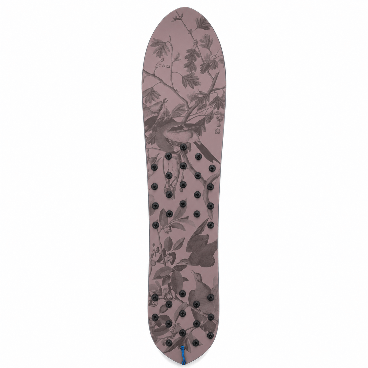 Botanisches Surf Snowboard