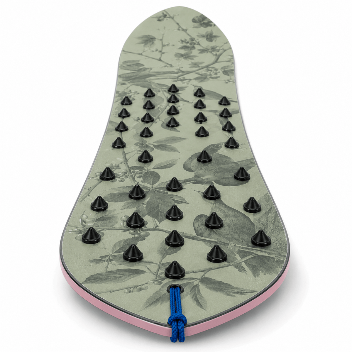 Botanisches Surf Snowboard