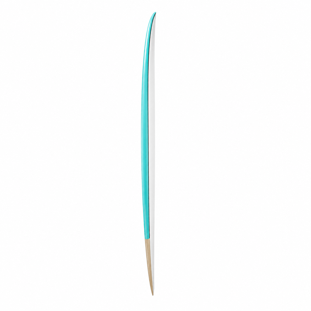 Reef Fish Surfboard