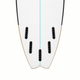 Reef Fish Surfboard