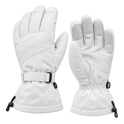 Fuse Alpine Ski Gloves