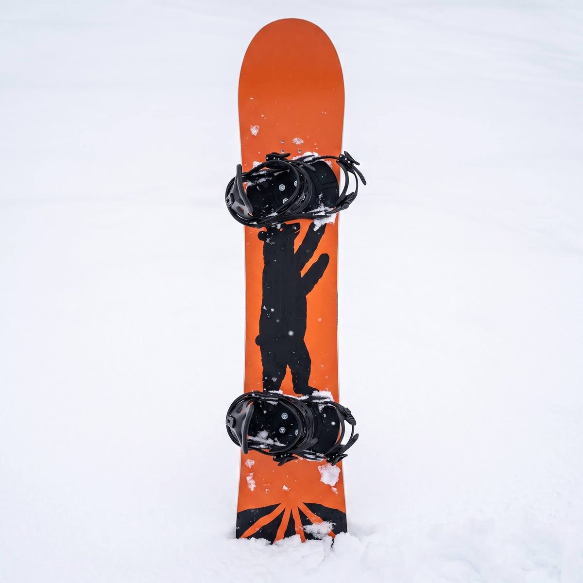 Forest Myth Snowboard
